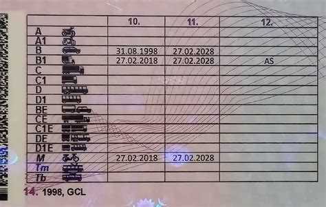 Отметка AS в водительском удостоверении категории B1: значение и особенности